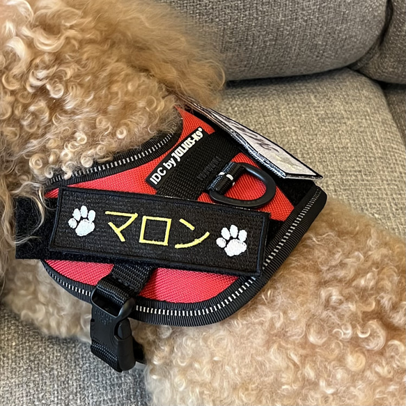 愛犬 ハーネスワッペン ネームタグ JULIUSK9 ユリウスケーナイン ペット服・アクセサリー attraitアトレ 通販