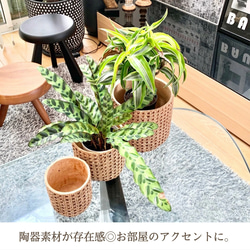 鉢カバー 植木鉢 陶器製 バスケット 北欧風 ラタン ラタン調 プランター 観葉植物 オシャレ インテリア 室内 屋内 10枚目の画像