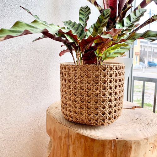 鉢カバー イタリア製 イタリア製 花柄 陶器 プランターカバー 植木鉢