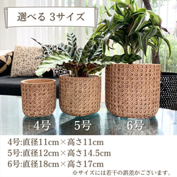 鉢カバー 植木鉢 陶器製 バスケット 北欧風 ラタン ラタン調 プランター 観葉植物 オシャレ インテリア 室内 屋内 3枚目の画像