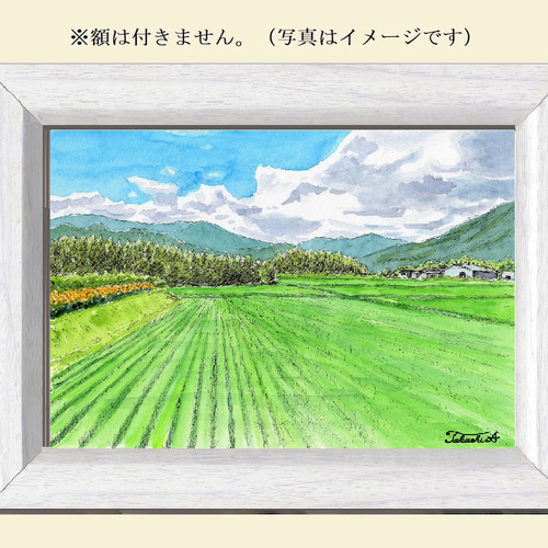 原画一点物 「稲穂が伸びる夏の風景」 ＜ペンスケッチ＋透明水彩