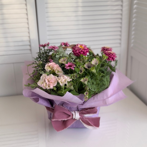 バスケットの花寄せ植え》マーガレットとジニアとペチュニア