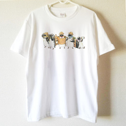 【送料無料】ケープペンギンの探検隊Tシャツ～子供から大人までみんなで使える13サイズ～ 1枚目の画像