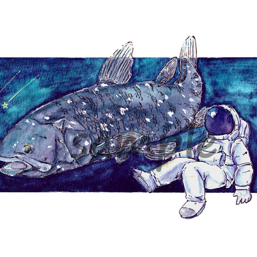 選べるポストカードセット（47.シーラカンスと星降る深海） ポスト