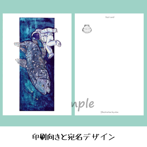 選べるポストカードセット（48.マゼランペンギンと水族館） ポスト