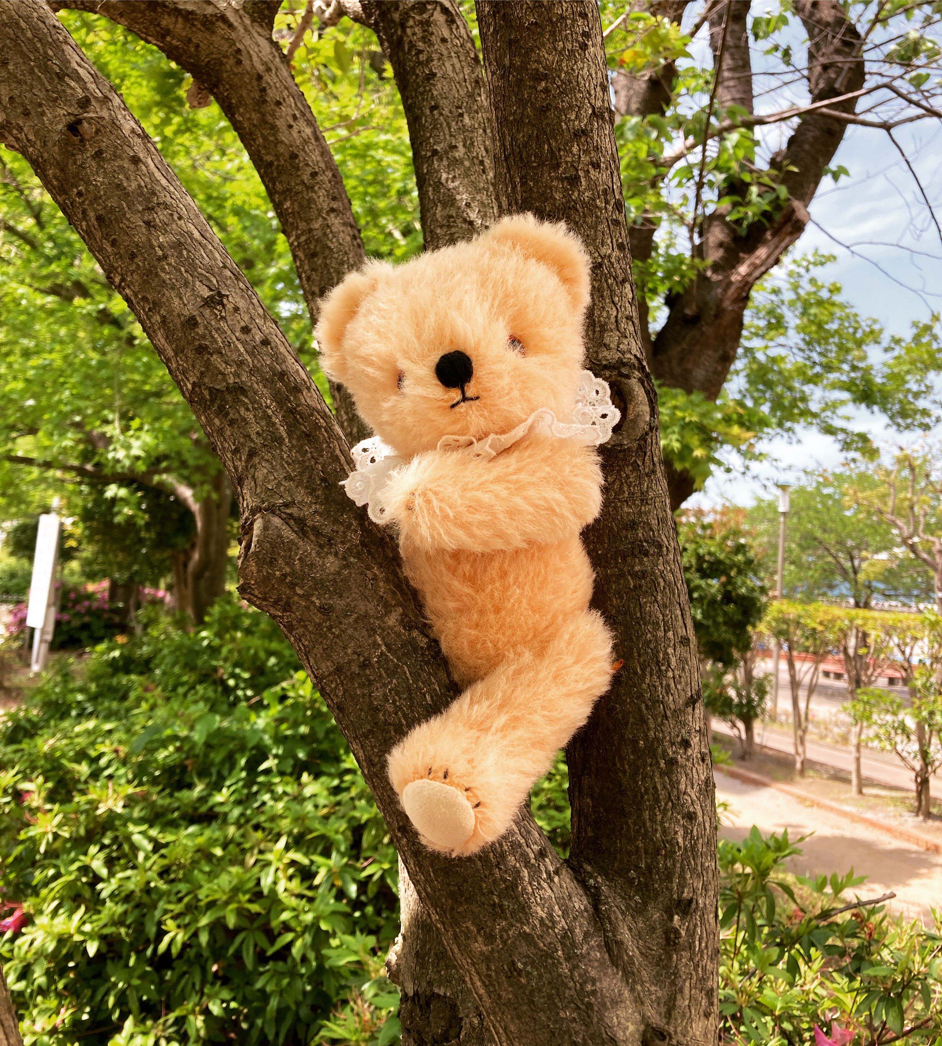 オレンジ テディベア 25cm