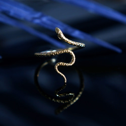 【Sterling Silver925】Mystical Snake Ring 6枚目の画像