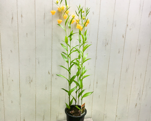 6efbe4b394ad7e02ce2b12125deb7b