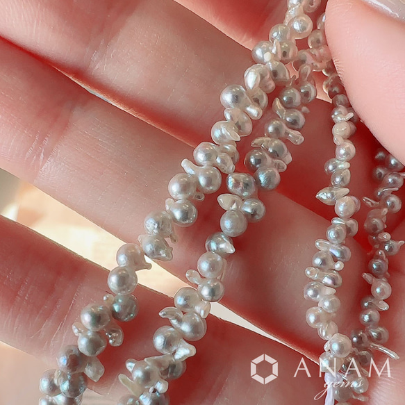 【希少品】【10粒】あこやパール ツノツノタイプ バロック グレー  2.5-5mm★ANAM gems 1枚目の画像