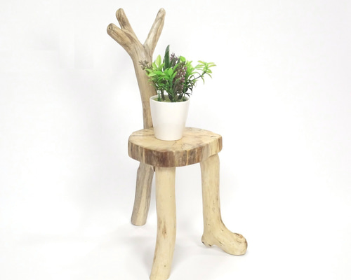 栗、輪切、ディスプレイ台、花台、椅子、スツール台 コレクション 流木