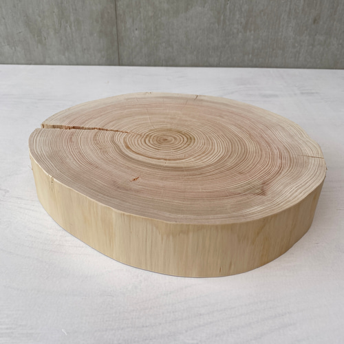 大きいヒノキの切り株プレート】アクセサリー置き ディスプレイ ひのき