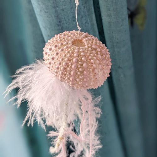 クラゲのモビール サンキャッチャー ウニ殻 ミズクラゲ ゼリー