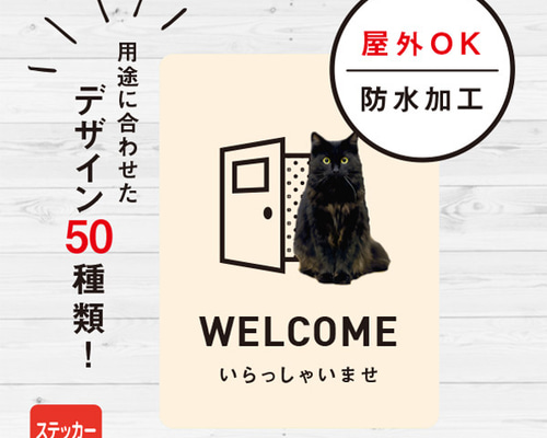 6a145c3d52531a8e2997aeeea18fef