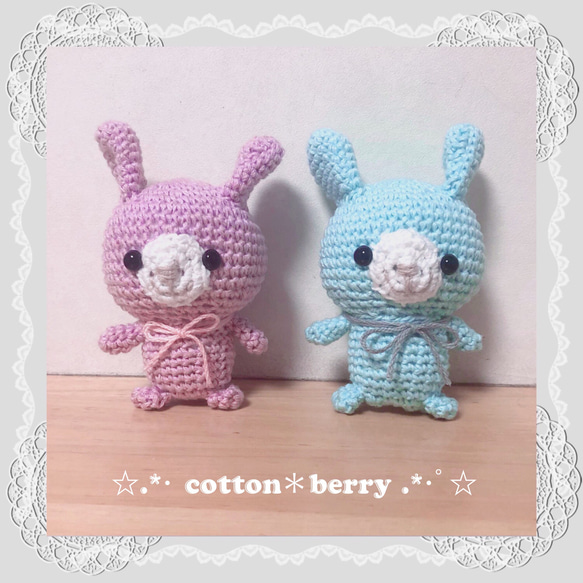 あみぐるみ⭐️着ぐるみウサギ&クマ