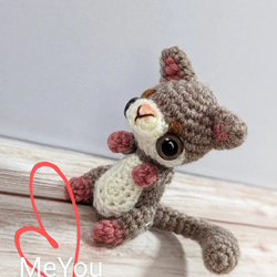 ☆SALE☆】手乗りサイズの小さなおサルさん♪ショウガラゴ ☆SALE☆】手乗りサイズの小さなおサルさん♪ショウガラゴ