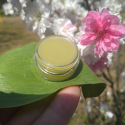 薬用万能　無農薬　よもぎビワクリーム　40ml 楽天市場】大鹿村よもぎビワクリーム 40ml : 人と地球にやさしい暮らし