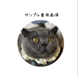 猫首輪　シュシュ首輪　【クリーム色】オリジナルチャーム付き　猫首輪　エレガント首輪　ペット用品　猫雑貨 6枚目の画像