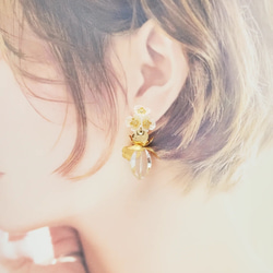 Charlotte－short－/Earrings or Earrings－/Pearl·Glass cut beads·Cry 第6張的照片