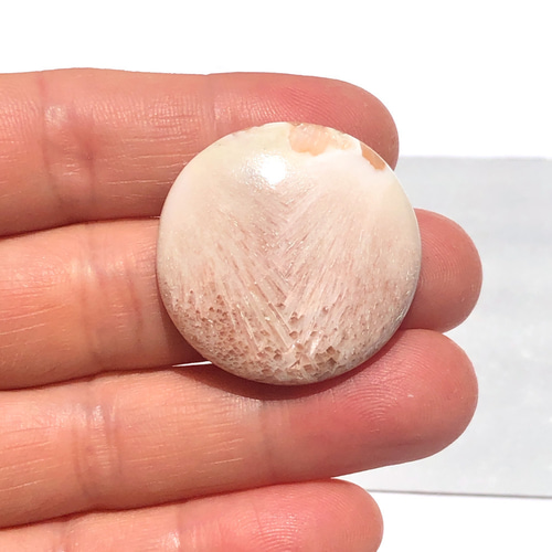 スコレサイト[108] 30mm円形 天然石 ／ ルース ／カボション 天然石  