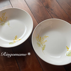 北欧♡ミモザなパスタプレート＊21センチ＊2枚set* 中皿 りんごまめ