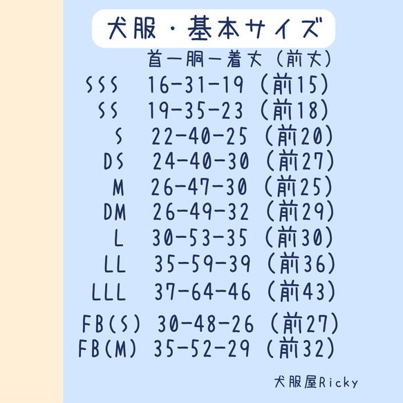  第11張的照片