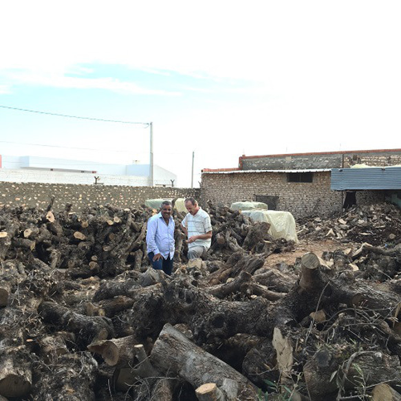 ◇オリーブの木 個性あふれる１点もの　大地を揺るがす波動　　溝付きボード　約53cm 9枚目の画像