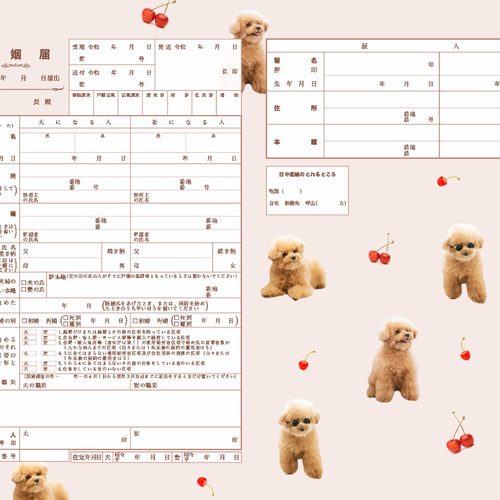 トイプードルバンドメイド（プロフ必読）