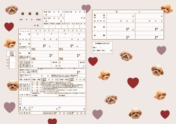 トイプードルバンドメイド（プロフ必読）