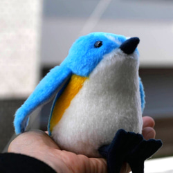 青くてまるいルリビタキ(1ヶ月以内で発送) 5枚目の画像