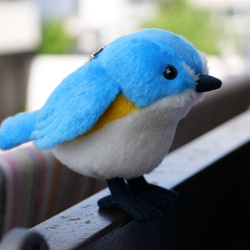 青くてまるいルリビタキ(1ヶ月以内で発送) 3枚目の画像