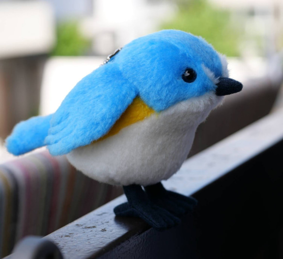 青くてまるいルリビタキ(1ヶ月以内で発送) 3枚目の画像