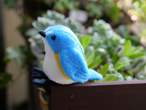 青くてまるいルリビタキ(1ヶ月以内で発送) 1枚目の画像