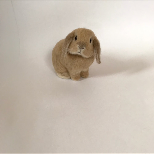 うさぎ 羊毛フェルト ロップイヤー ホーランドロップ ミニうさぎ