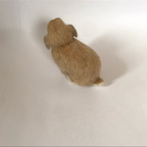 うさぎ 羊毛フェルト ロップイヤー ホーランドロップ ミニうさぎ