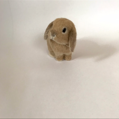 うさぎ 羊毛フェルト ロップイヤー ホーランドロップ ミニうさぎ