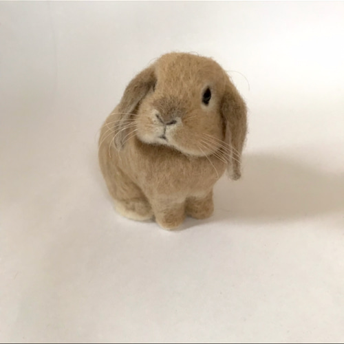 うさぎ 羊毛フェルト ロップイヤー ホーランドロップ ミニうさぎ