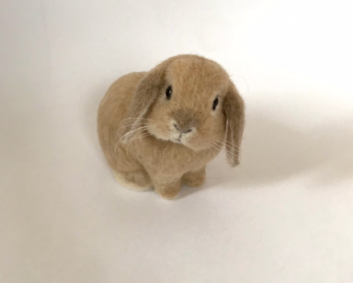 うさぎ羊毛フェルト ホーランドロップフォーン Sサイズ 羊毛