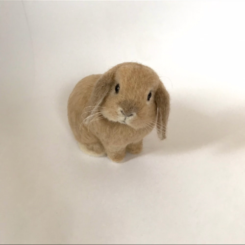 うさぎ 羊毛フェルト ロップイヤー ホーランドロップ ミニうさぎ