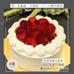 卵、乳、小麦、ナッツ類不使用　管理栄養士監修　7大アレルゲン除去ケーキ4号（12cm）☆誕生日におすすめ 1枚目の画像