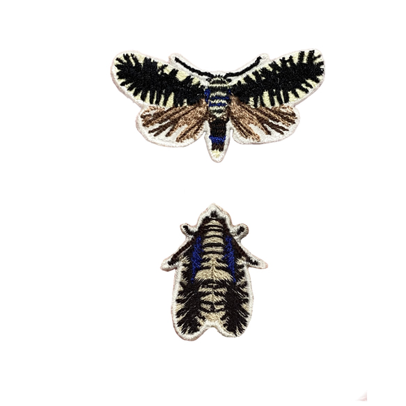 【ワッペン】Moth（蛾）シリーズ　ハグルマヨトウ（小）セット 1枚目の画像