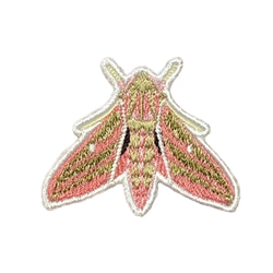 JADEX 公式アカウント03ドイツ、フリードリヒアウグスト一世メダル珍品 ワッペン】Moth（蛾）シリーズ ベニスズメ展翅（小） ワッペン