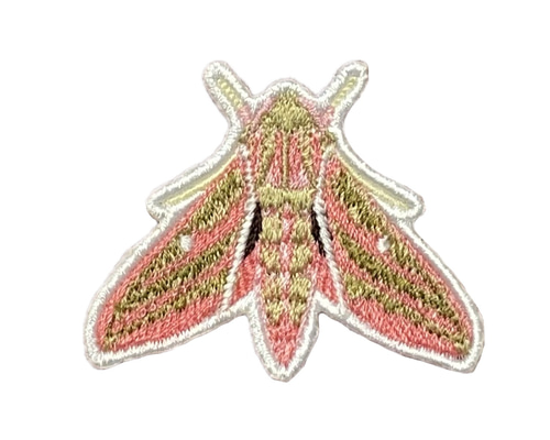 ワッペン】Moth（蛾）シリーズ ベニスズメ展翅（小） ワッペン