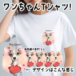 【 キュンです イタリアングレーハウンド 】 Tシャツ　おしゃれ　かわいい　犬　ペット　うちの子　プレゼント　ギフト 1枚目の画像