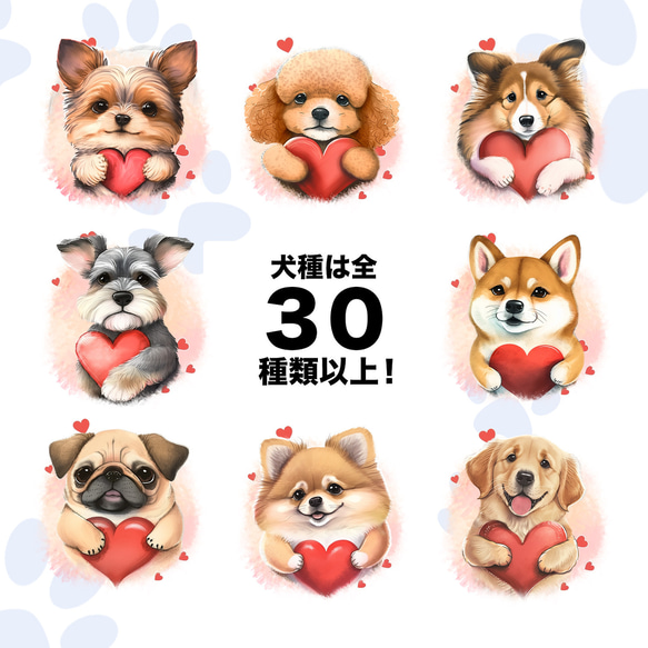 【 キュンです トイプードル 】 Tシャツ　おしゃれ　かわいい　犬　ペット　うちの子　プレゼント　ギフト 9枚目の画像