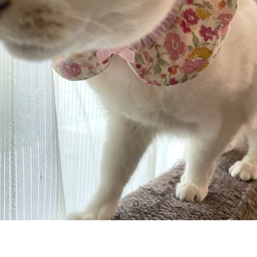 猫ちゃん襟タイプザビエル首輪 モノトーン水玉✖️ギンガムチェック