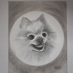 8c51b17385ad16364f110f7dd9162b