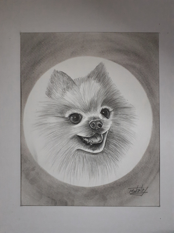鉛筆画 ポメラニアン 絵画 makochin 通販 15872021｜Creema