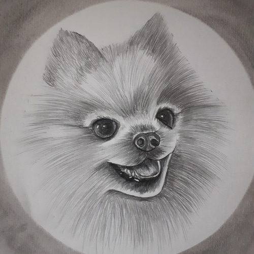独特の上品 ポメラニアン 鉛筆画 絵画 15872021｜Creema 通販 makochin 絵画