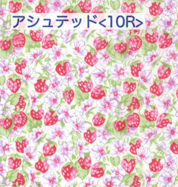 生地在庫確認用】リバティ アシュテッド 生地 aing handmade 通販  