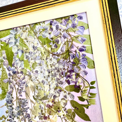 幻想的な藤のパープル＆ブルーモダン押し花アート額０3 7枚目の画像